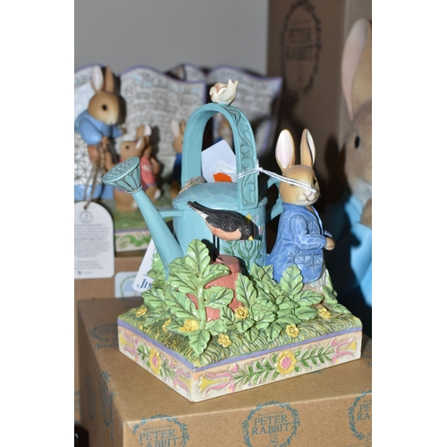 A GROUP OF BOXED ENESCO BEATRIX POTTER PETER RABBIT COLLECTABLES