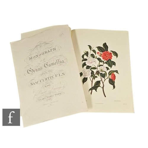 Curtis Samuel A Monograph Of The Genus Camellia London Originally