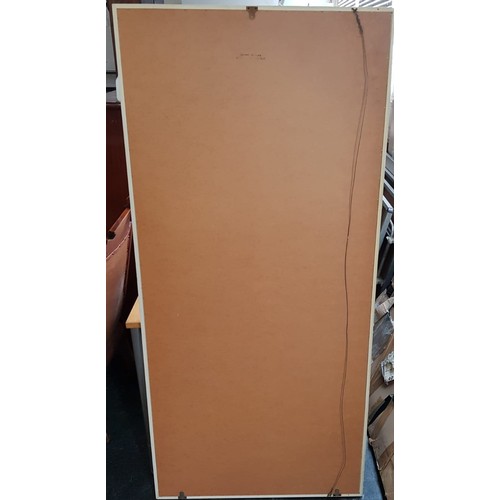 248 - Large window mirror, H162 x W75 x D32cm