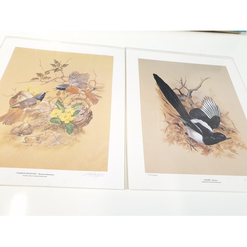 286 - A collection of 11 lithographs of Britain's beautiful garden birds, in original box. (11)