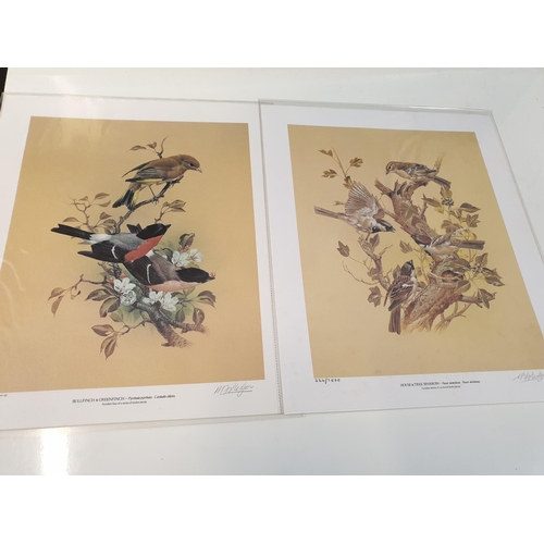 286 - A collection of 11 lithographs of Britain's beautiful garden birds, in original box. (11)