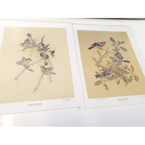 286 - A collection of 11 lithographs of Britain's beautiful garden birds, in original box. (11)