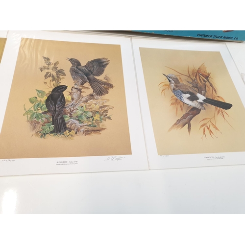 286 - A collection of 11 lithographs of Britain's beautiful garden birds, in original box. (11)