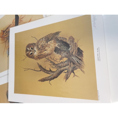 286 - A collection of 11 lithographs of Britain's beautiful garden birds, in original box. (11)