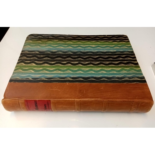274 - The Pictorial Museum of Animated Nature, a patterned book which features illustrations and descripti... 