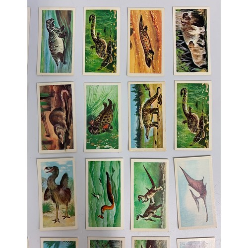 260 - 43x Prehistoric Animal Cigarette Cards from 1960's Brooke Bond Tea (43)