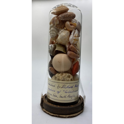 20 - A Victorian glass dome containing corals and sea shells collected from Tasman Sea, South Pacific by ... 