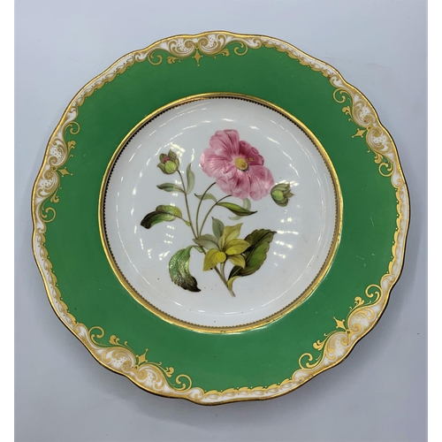 112 - A pair of H&R Daniel plates with rococo scrolling and floral centres. (some marks from use)