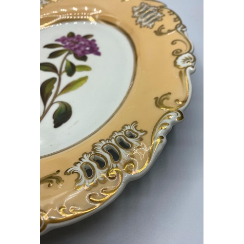 609 - Daniel shell pierced shaped serving dish circa 1825