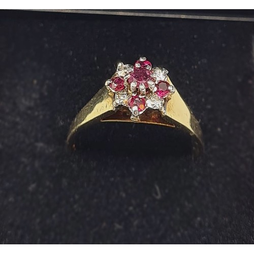 171 - 9ct Gold Ruby and Diamond Stone Set Ring. Full UK Hallmark, Size N, 3.1 Grams.