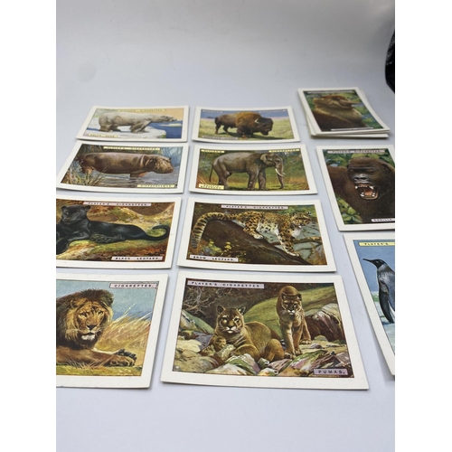 668 - Players cigarette cards in original box, 8 characters from Dickens plus 12 natural history cards