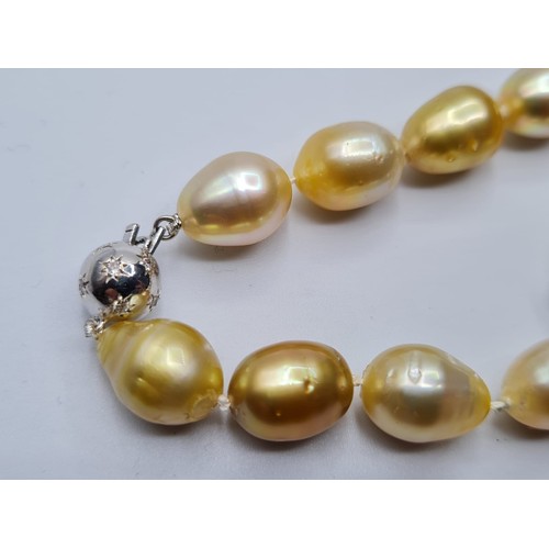 345 - 3 rows of south sea natural pearls  with diamond and 18ct gold clasp. Weight 150g