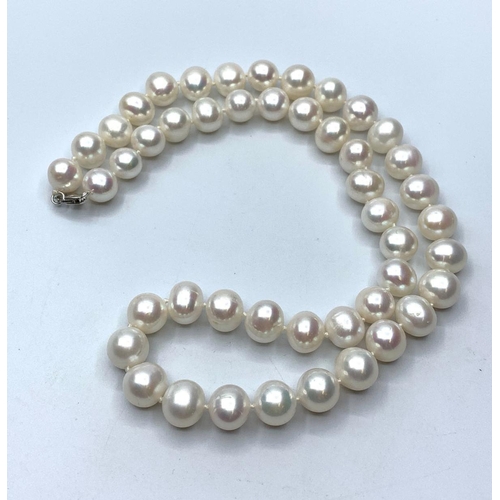 357 - Pearls with gold clasp, weight 66g