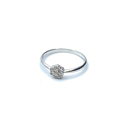 453 - 9 Carat White Gold Diamond Set Cluster Ring.