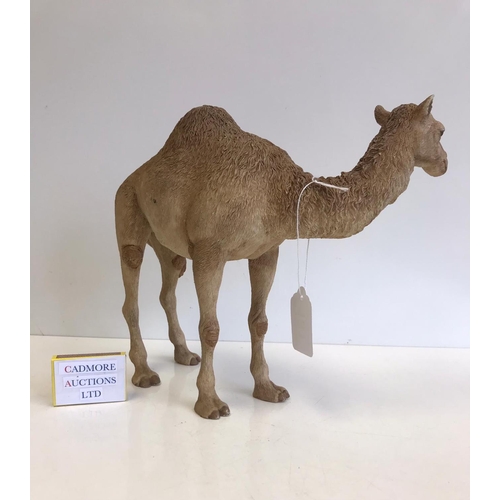 181 - Leonardo Collection Camel, H- 22cm.