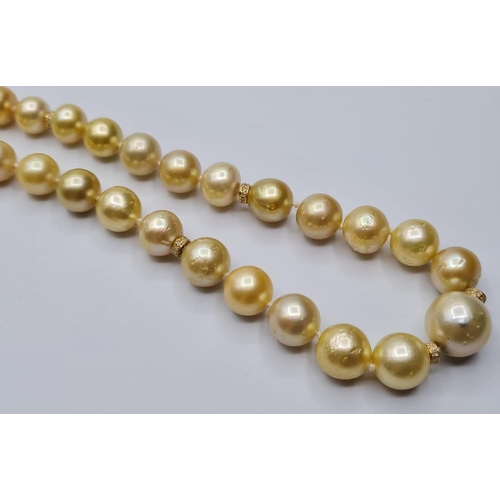 510 - South sea natural golden pearl necklace on 18ct gold, 44 cms & weight 62.8g