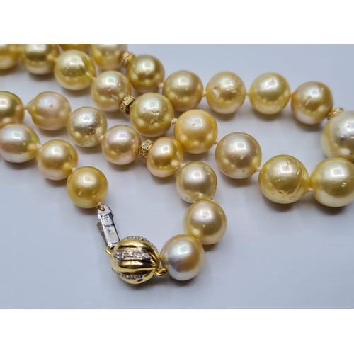 510 - South sea natural golden pearl necklace on 18ct gold, 44 cms & weight 62.8g