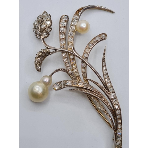 522 - Platinum and diamond flower brooch with pearl blooms, weight 11.12g & 7cms long