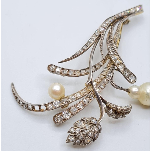 522 - Platinum and diamond flower brooch with pearl blooms, weight 11.12g & 7cms long