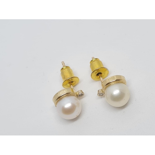 506 - 14ct Pearl Earrings