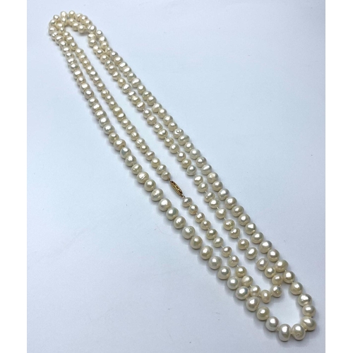 526 - String of Pearls on 9ct Gold Clasp, 170cm.