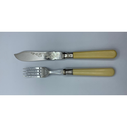 663 - 24 piece set of cutlery in original wooden canteen. Consisting 12 fish knives and 12 forks with silv... 