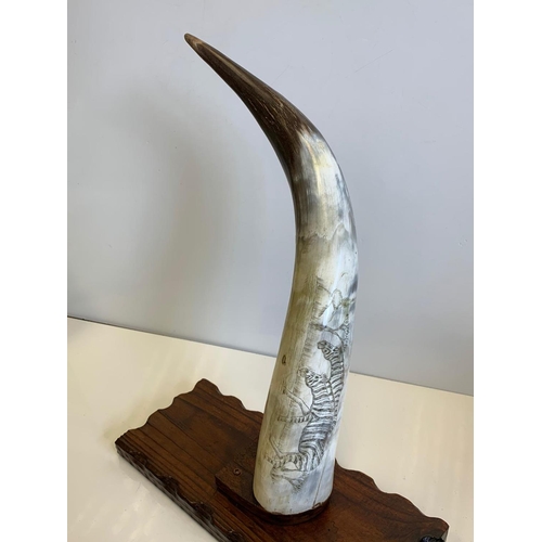 399 - Vintage Scrimshaw Carved Decorative Horn showing Zebra's