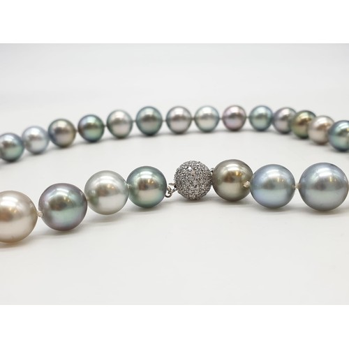 40 - Set of graduated South sea pearl necklace set in 18ct gold and diamond clasp, different shades of in... 