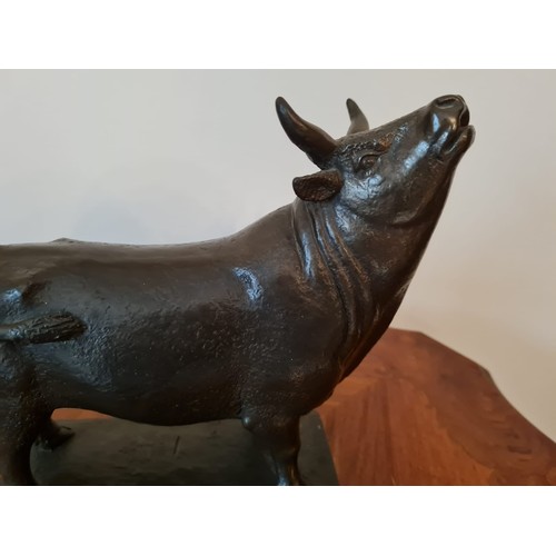 409 - Bronze bull
H22 W20