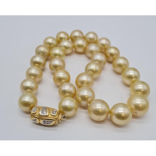 124 - Golden south sea pearl necklace set in 14ct gold clasp, individually knotted pearls size 7-10mm and ... 