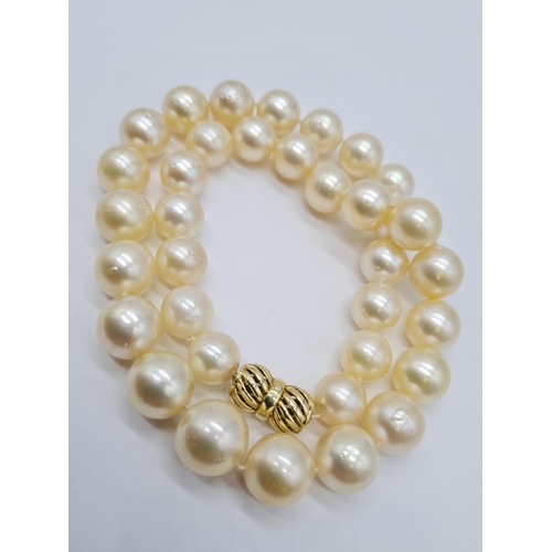 124 - Golden south sea pearl necklace set in 14ct gold clasp, individually knotted pearls size 7-10mm and ... 