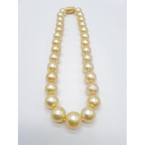 284 - Golden graduated south sea pearl set in 18ct yellow gold and diamond clasp, individually knotted pea... 