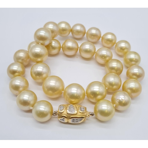 284 - Golden graduated south sea pearl set in 18ct yellow gold and diamond clasp, individually knotted pea... 