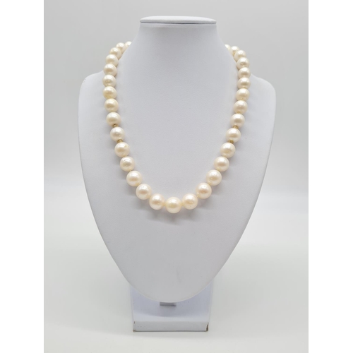 294 - Set of graduated south sea pearl necklace set in 14ct gold and diamond clasp, weight 81.7g and 46cm ... 