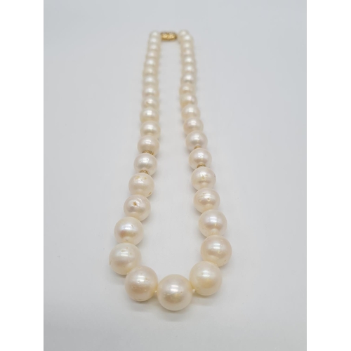 294 - Set of graduated south sea pearl necklace set in 14ct gold and diamond clasp, weight 81.7g and 46cm ... 