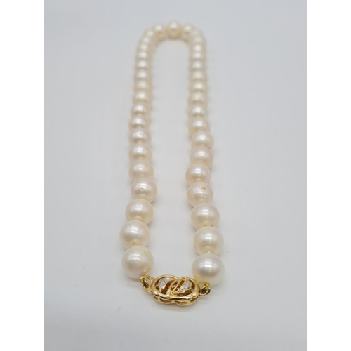 294 - Set of graduated south sea pearl necklace set in 14ct gold and diamond clasp, weight 81.7g and 46cm ... 