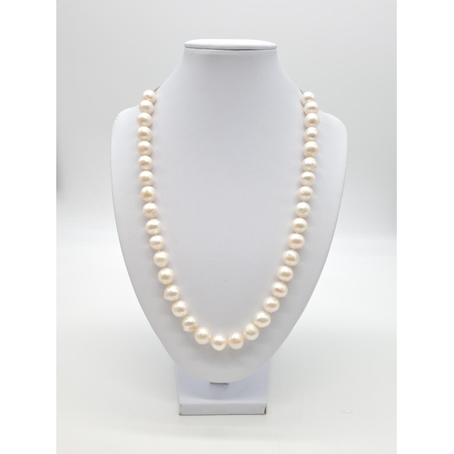 396 - Fresh water pearl necklace set in silver clasp with expandable chain, weight 62.2g approx