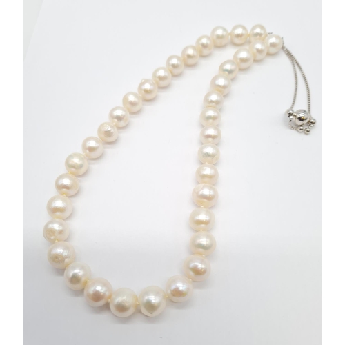 396 - Fresh water pearl necklace set in silver clasp with expandable chain, weight 62.2g approx