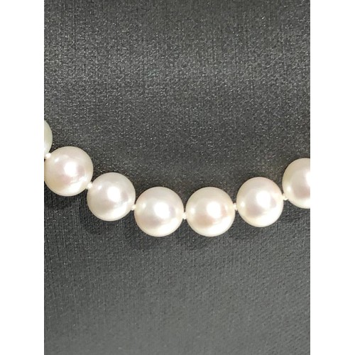 637 - freshwater pearl necklace single row with beautifully matched pearls; each pearl around 7.5mm; 14k g... 