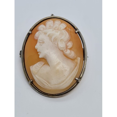 276 - 9ct yellow gold Cameo brooch, weight 5.44g and 35 x 25mm size approx