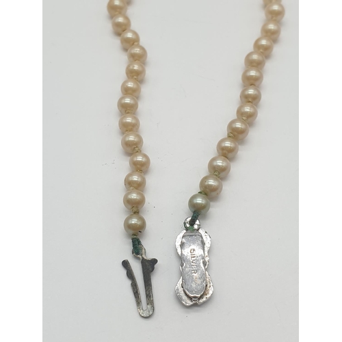 550 - String of graduated cultured pearls with silver clasp, weight 18.4g and 36cm long approx