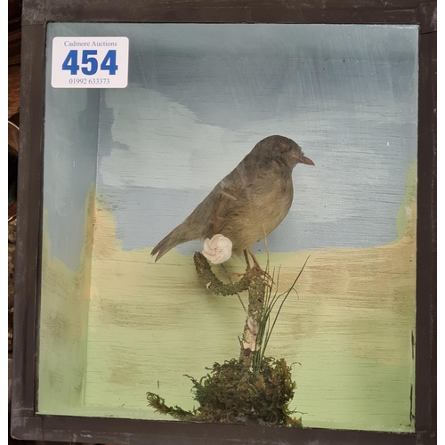 454 - A stuffed Bird on a Branch in Glass display case 22 x 20cms