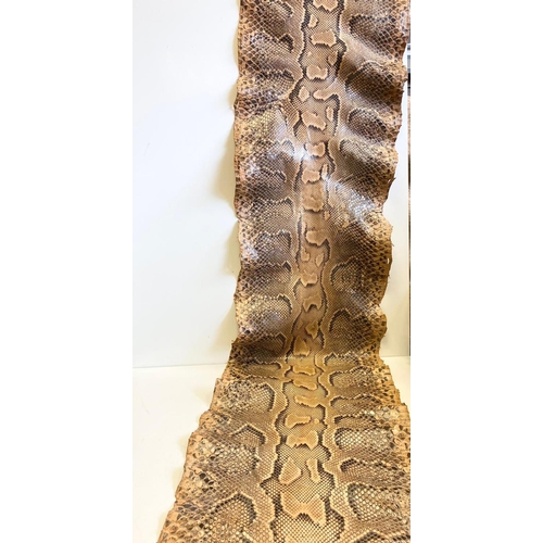 202 - 2 Genuine snake skins. 4.1mtrs & 2.3mtrs. One from a giant python.