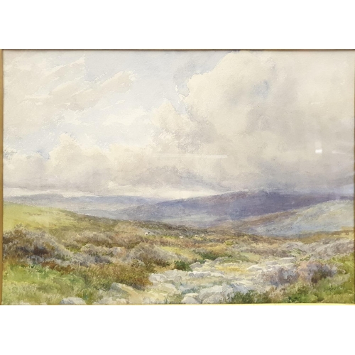 361 - A landscape watercolour by JW Durral, 'on Southland moors', gilt frame and inlet, 57x47cm approx