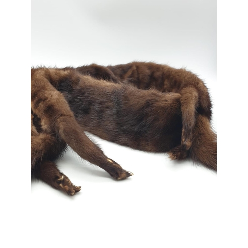 207 - Very early brown mink stole, 145cm long and 9cm width.