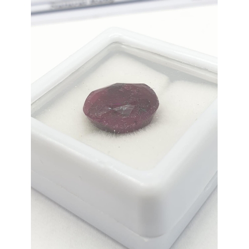 469 - 8.20 Cts Natural ruby. Oval mixed cut stone. Good colour.  GLI certification included.