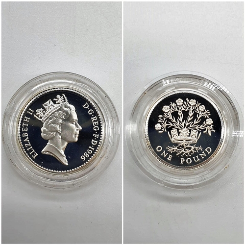 567 - ROYAL MINT 1987 SILVER PROOF £1 COIN shamrock TREE SILVER 9.5G