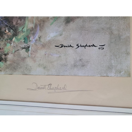 611 - 'Tigers Fire' by David Shepard, number 154 of a limited edition of 850 copies. Personally signed by ... 