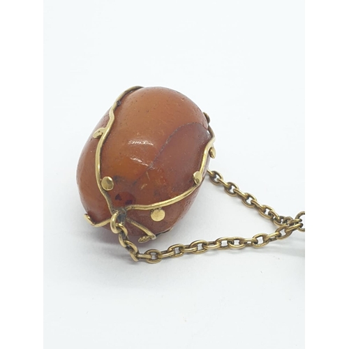 1006 - An actual amber pendant of 9ct gold. Weight 5.1g.