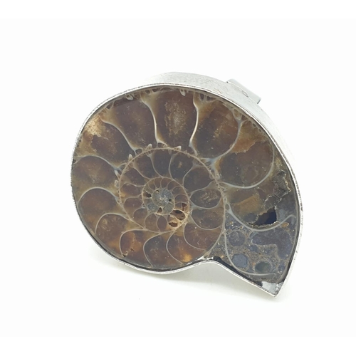 110 - A ring and pair of earrings set with Jurassic Ammonites (163 million years old) from  Madagascar. Pr... 